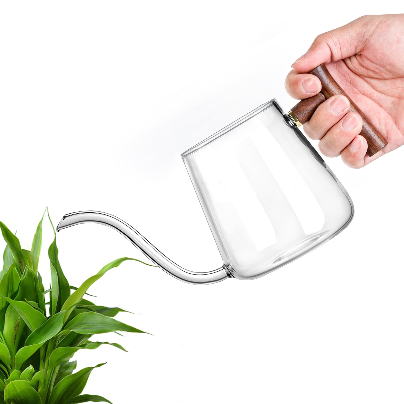 FrutPunch bonsai and hanging plants watering tool for precise irrigation