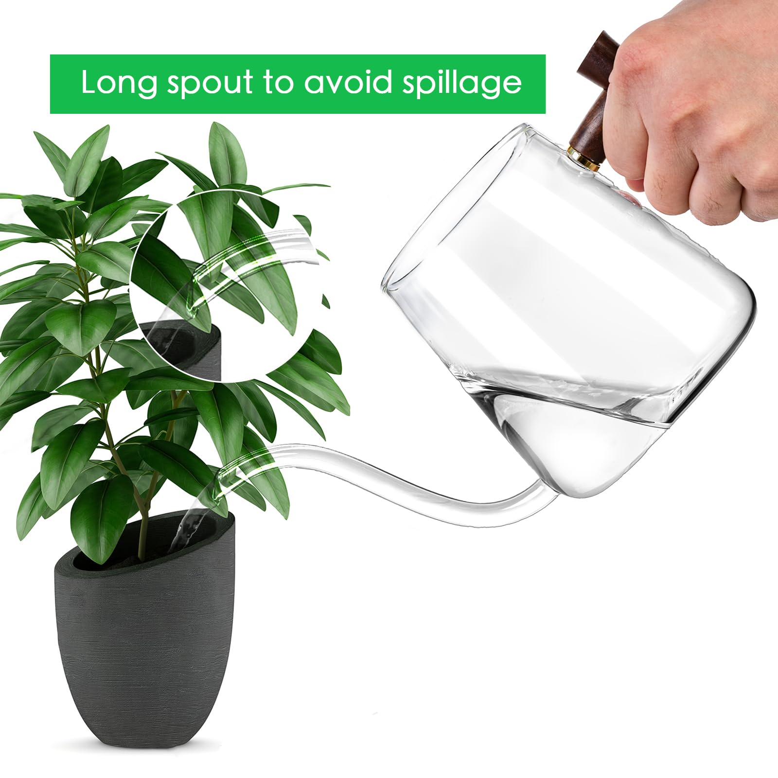 FrutPunch 27 oz glass watering can with wooden handle for easy one-handed use
