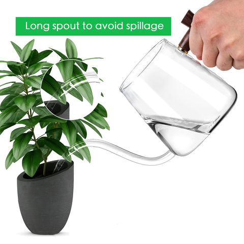 FrutPunch 27 oz glass watering can with wooden handle for easy one-handed use