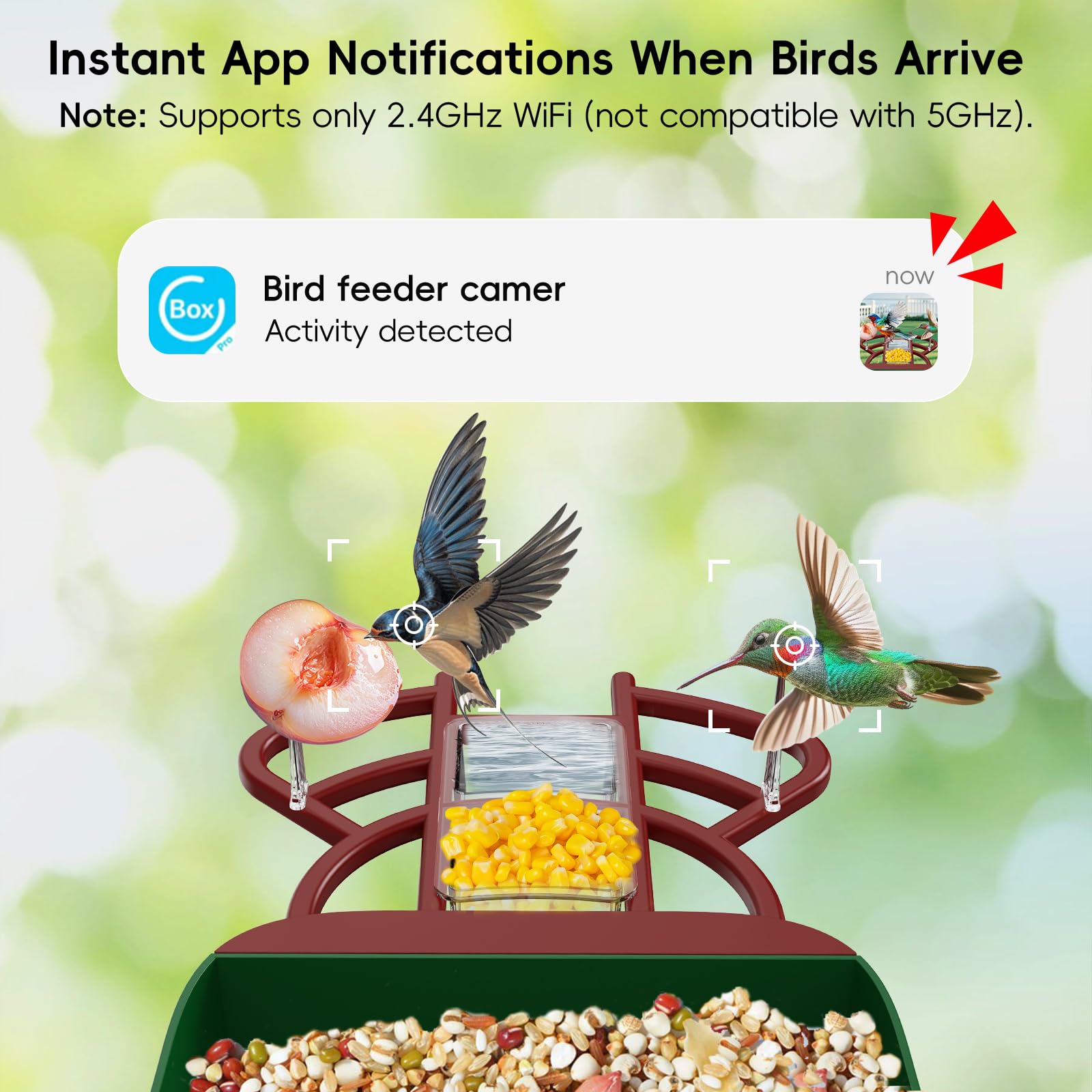 Frzgat smart bird feeder 2L capacity supports extended backyard feeding