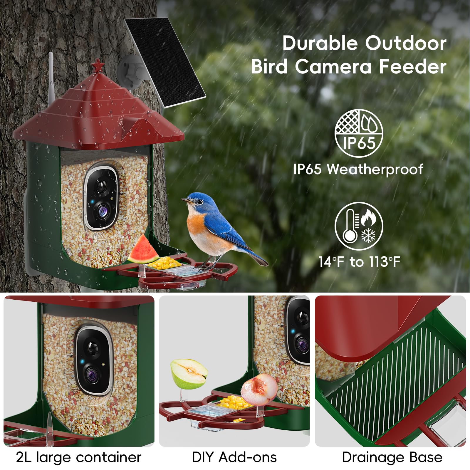 Frzgat smart bird feeder 4K video captures vivid feather details