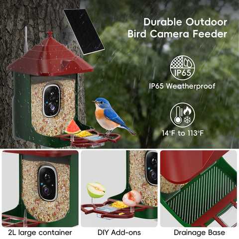 Frzgat smart bird feeder 4K video captures vivid feather details