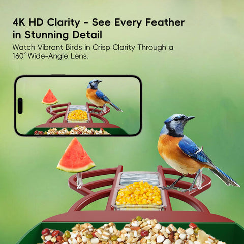 Frzgat smart bird feeder AI identification highlights species visiting your garden