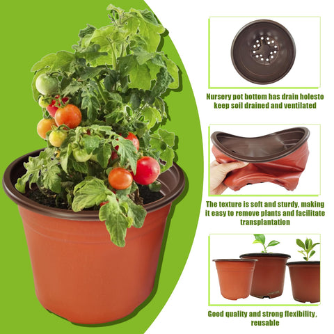 Fsehyue 5.5-inch seedling pot with raised rim for easy handling