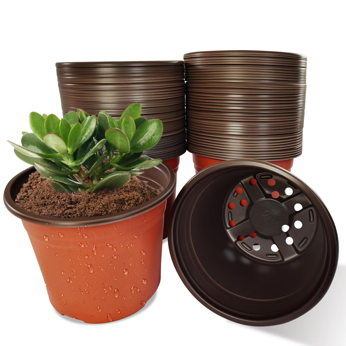 Fsehyue 8-inch nursery pot with drainage holes for seed starting