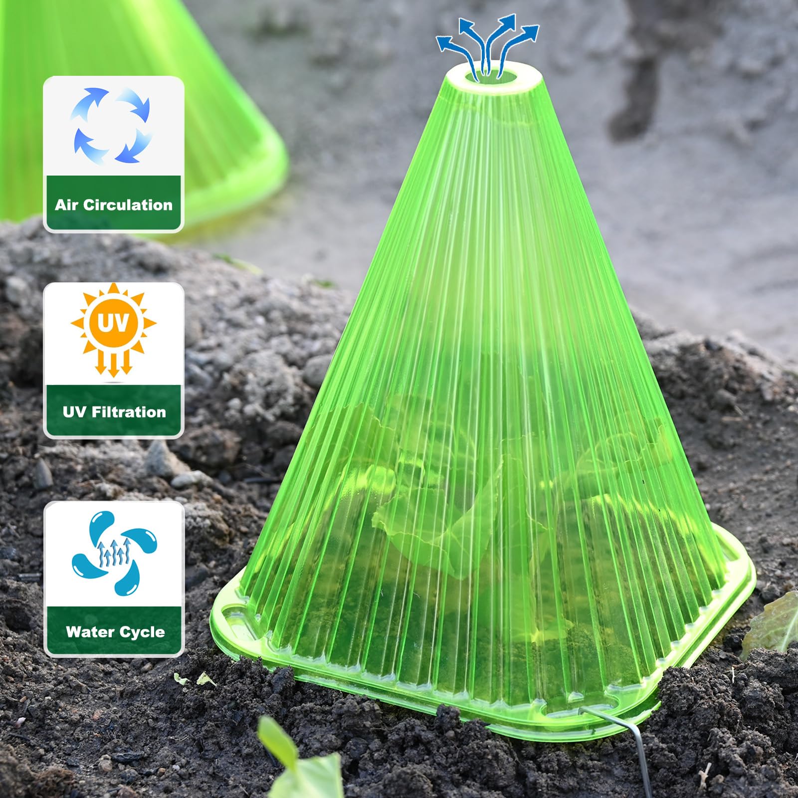 Fshow Bell Jar Cloche protecting plants from sun and frost with clear ventilation