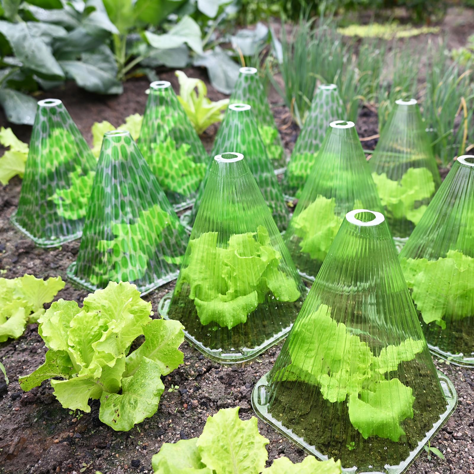 Fshow Eco-friendly reusable cloche pack for sustainable gardening