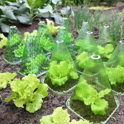 Fshow Eco-friendly reusable cloche pack for sustainable gardening