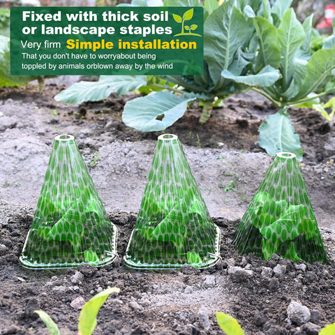 Fshow cloche protects seedlings from snails and pests