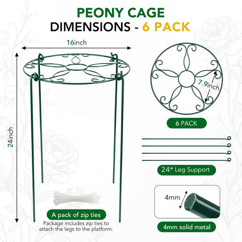 FuBegi peony cage four-leg base provides stable upright support.