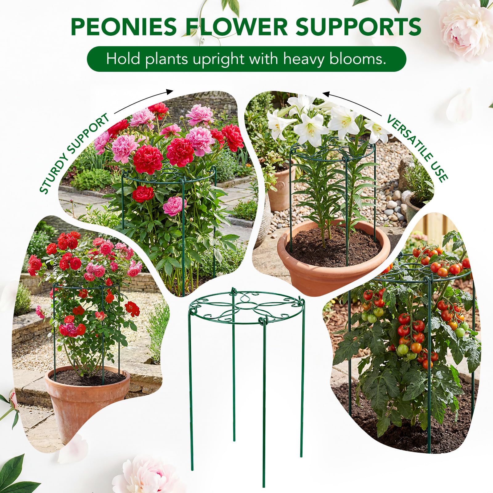 FuBegi peony cage 30-inch height accommodates taller plants.