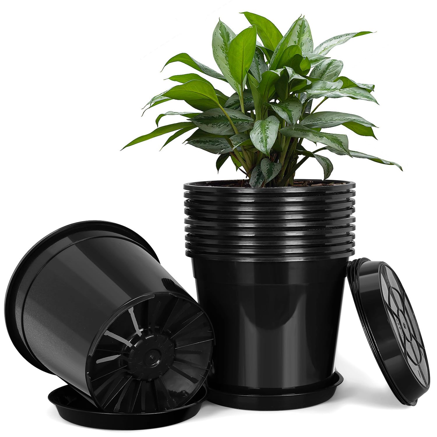 FUIJOL 2 gallon planter with drip tray for clean indoor and outdoor use.
