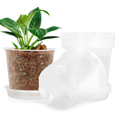 FUIJOL 4-inch clear nursery pot with transparent walls to monitor root growth.