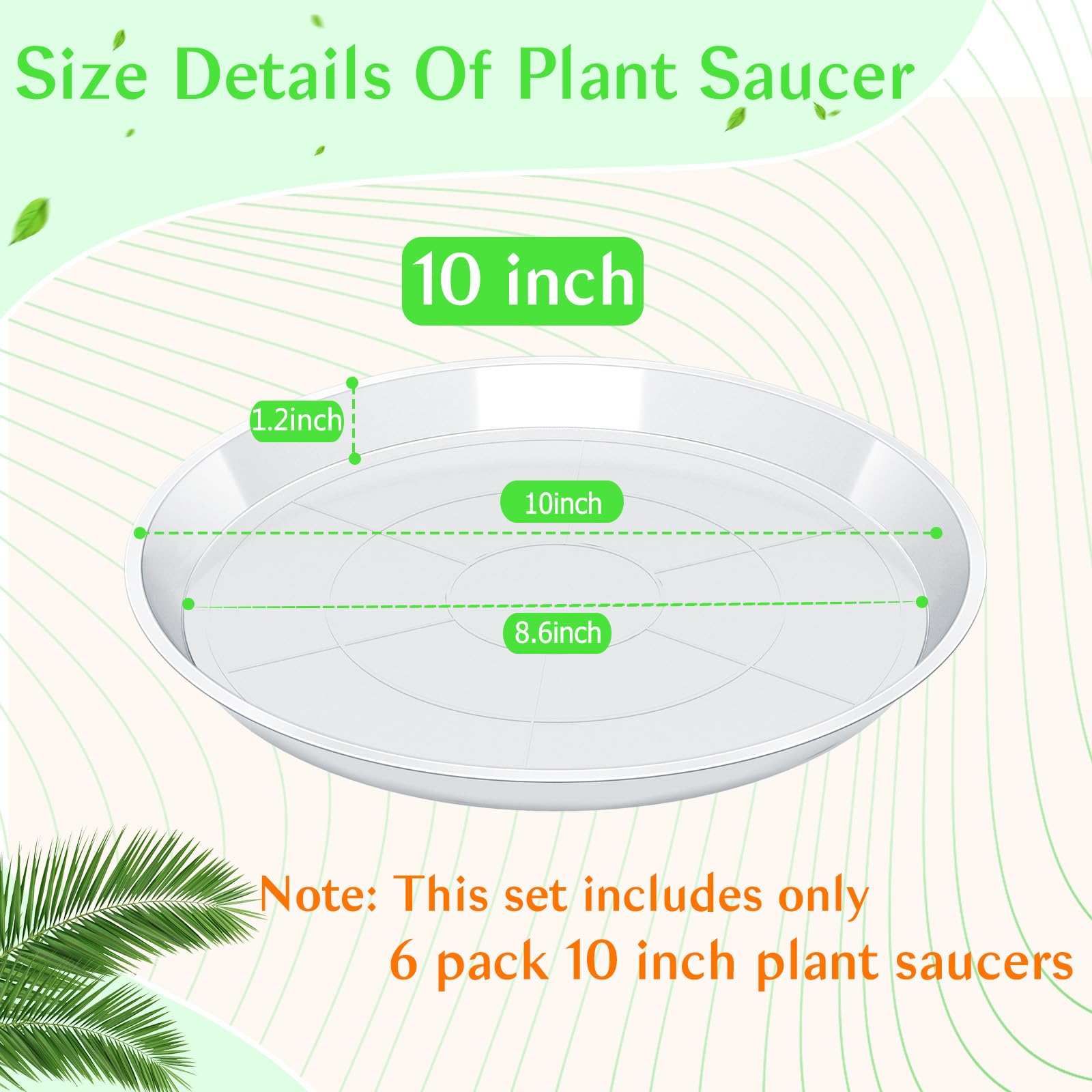 Fuijol clear plant saucer edge detail showing durable lip for long-lasting use