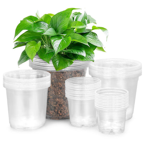 FUIJOL clear nursery pot 3-inch with drainage holes for healthy seedling growth.