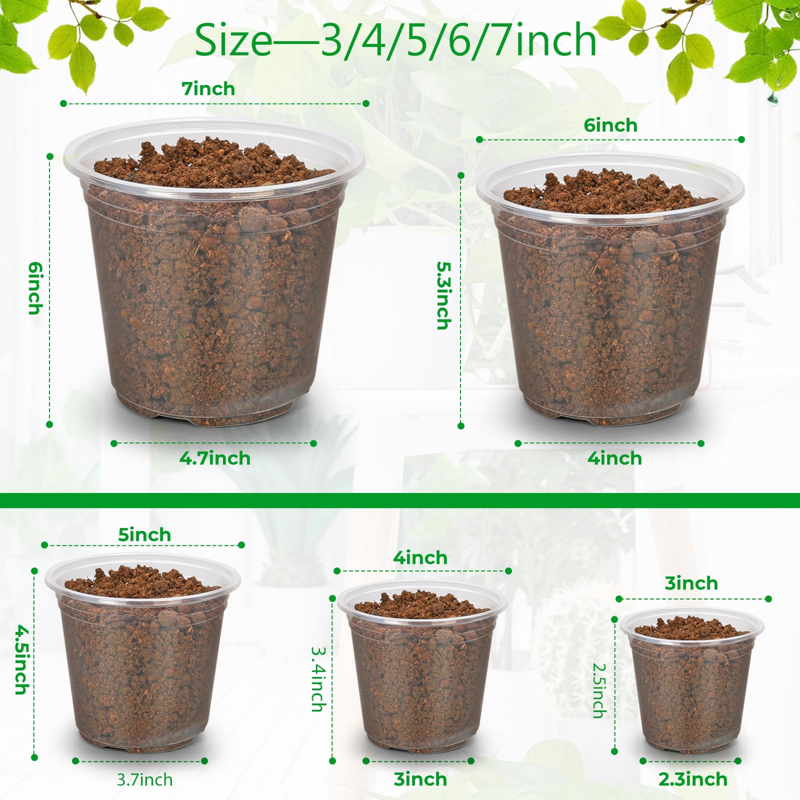 FUIJOL clear nursery pot 4-inch shows roots through transparent walls for monitoring.