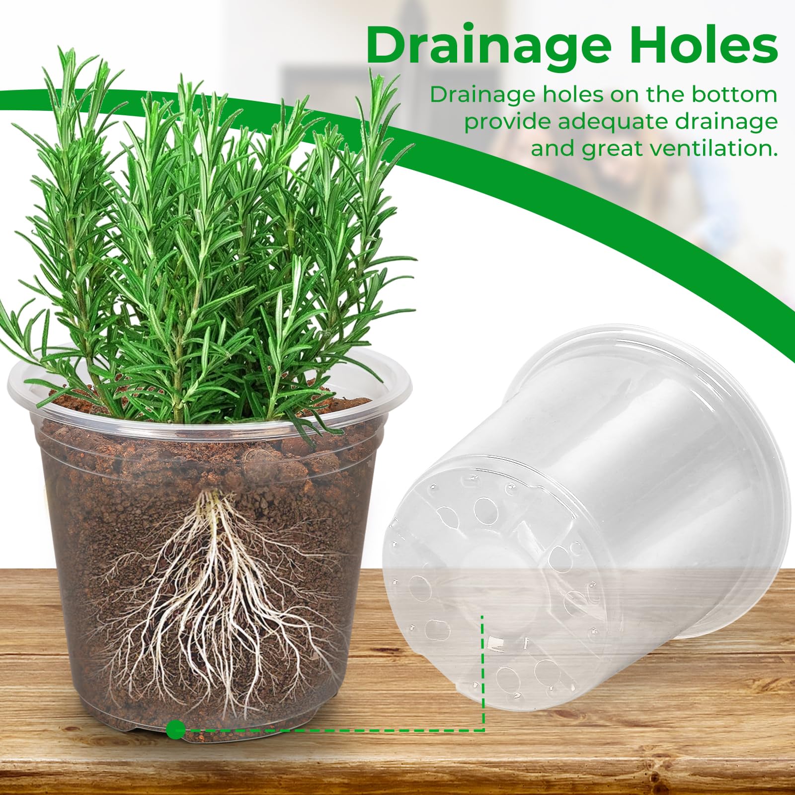 FUIJOL clear nursery pot 5-inch supports seedlings with visible roots and easy inspection.