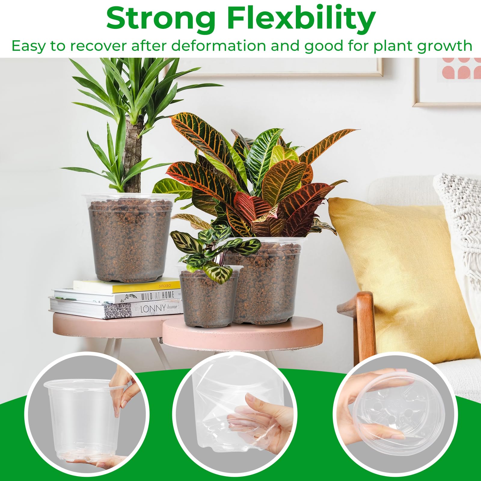 FUIJOL clear nursery pot 6-inch provides drainage to prevent waterlogged soil.