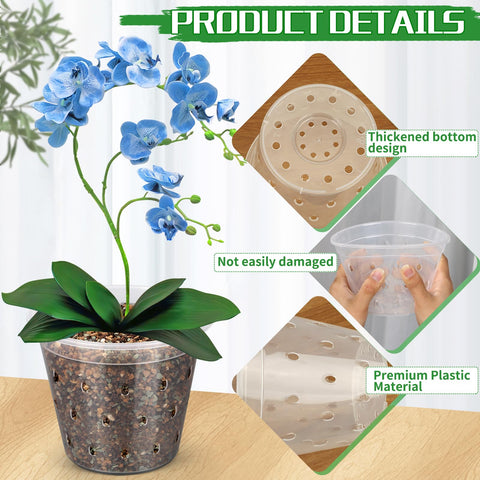 Fuijol clear orchid pot allows quick root observation and moisture checks