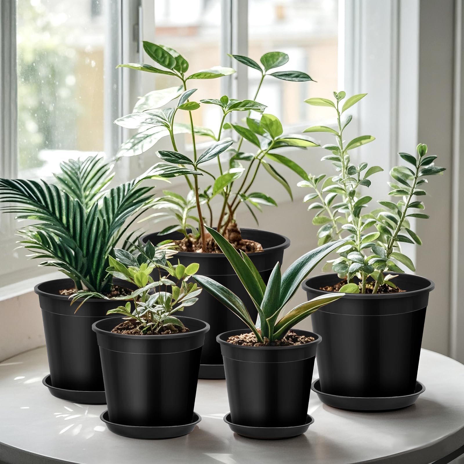 FUIJOL deep-design pot accommodates tall flowering plants and small trees.