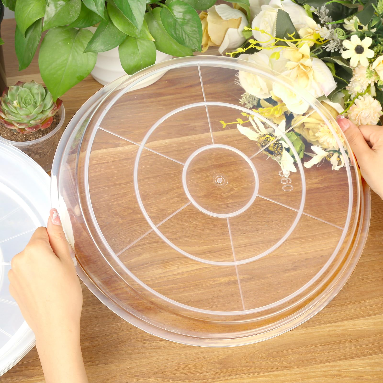Fuijol indoor-outdoor plant saucer suits varied spaces and climates
