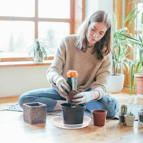 FUIJOL indoor outdoor plant tray, clear saucer, versatile placement.
