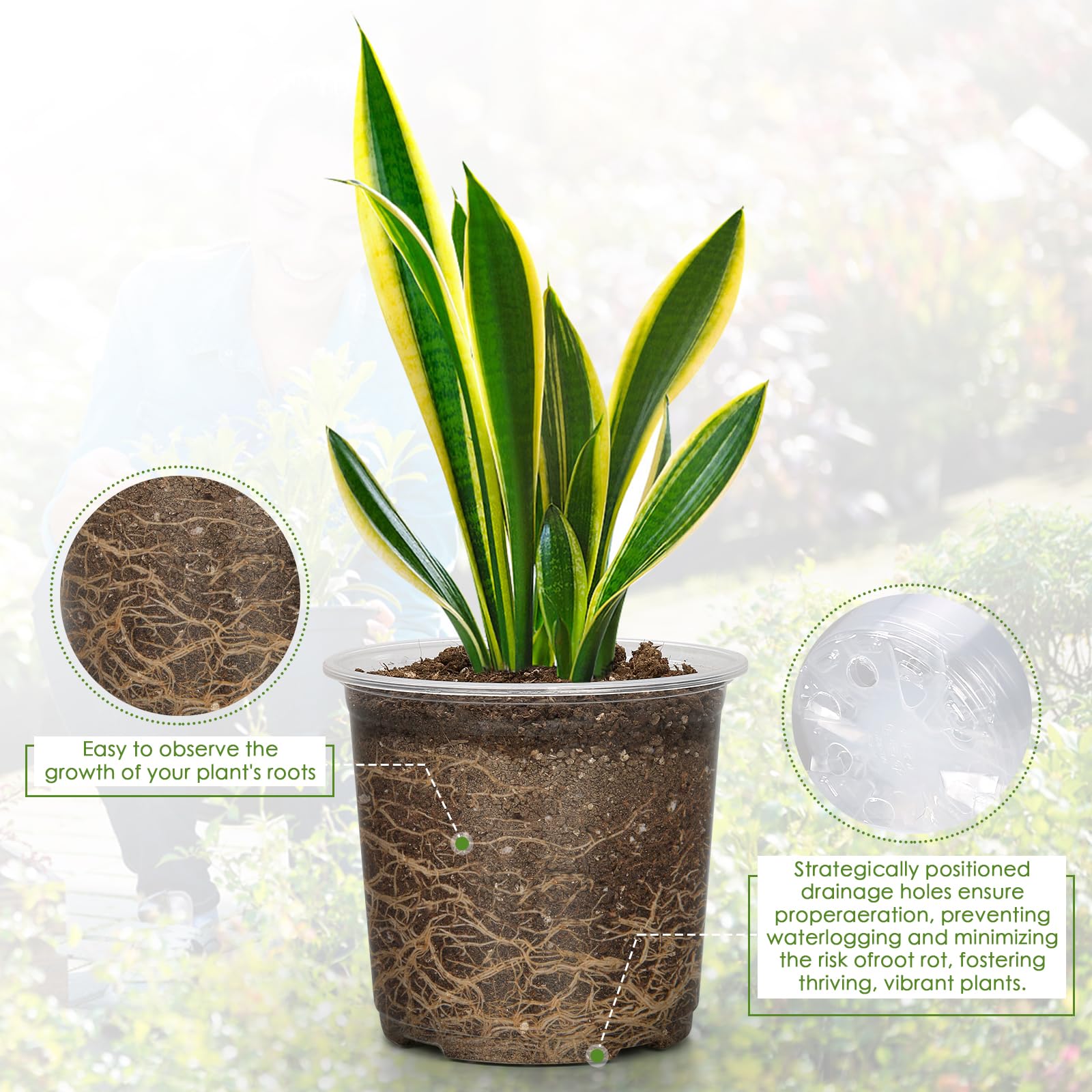 FUIJOL drainage-hole design promotes aeration for healthier roots.