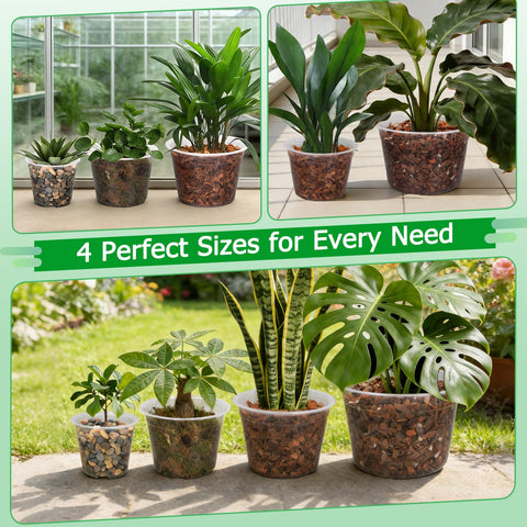 FUIJOL garden-ready pot for home balconies and greenhouses.