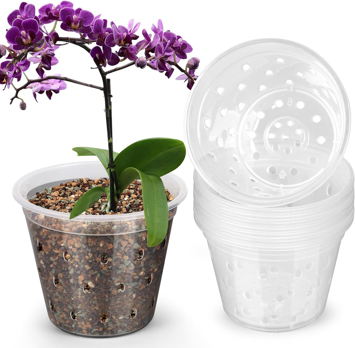 FUIJOL clear 3-inch orchid pot showing root viewing and clear material