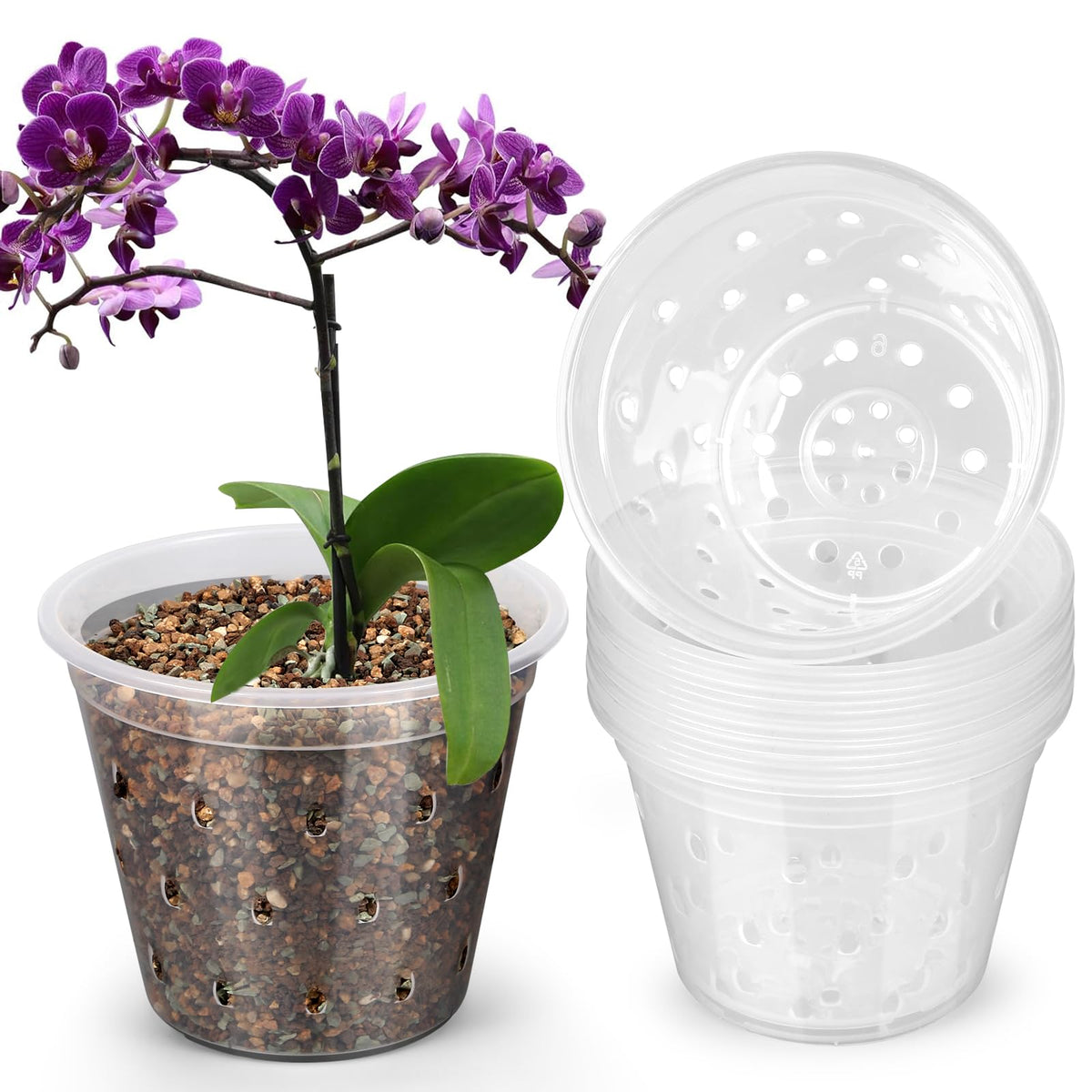 FUIJOL clear 4-inch orchid pot shows roots clearly for easy watering