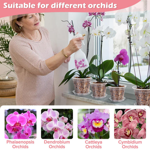 FUIJOL orchid pot kit—compact 5 inch design fits desks.