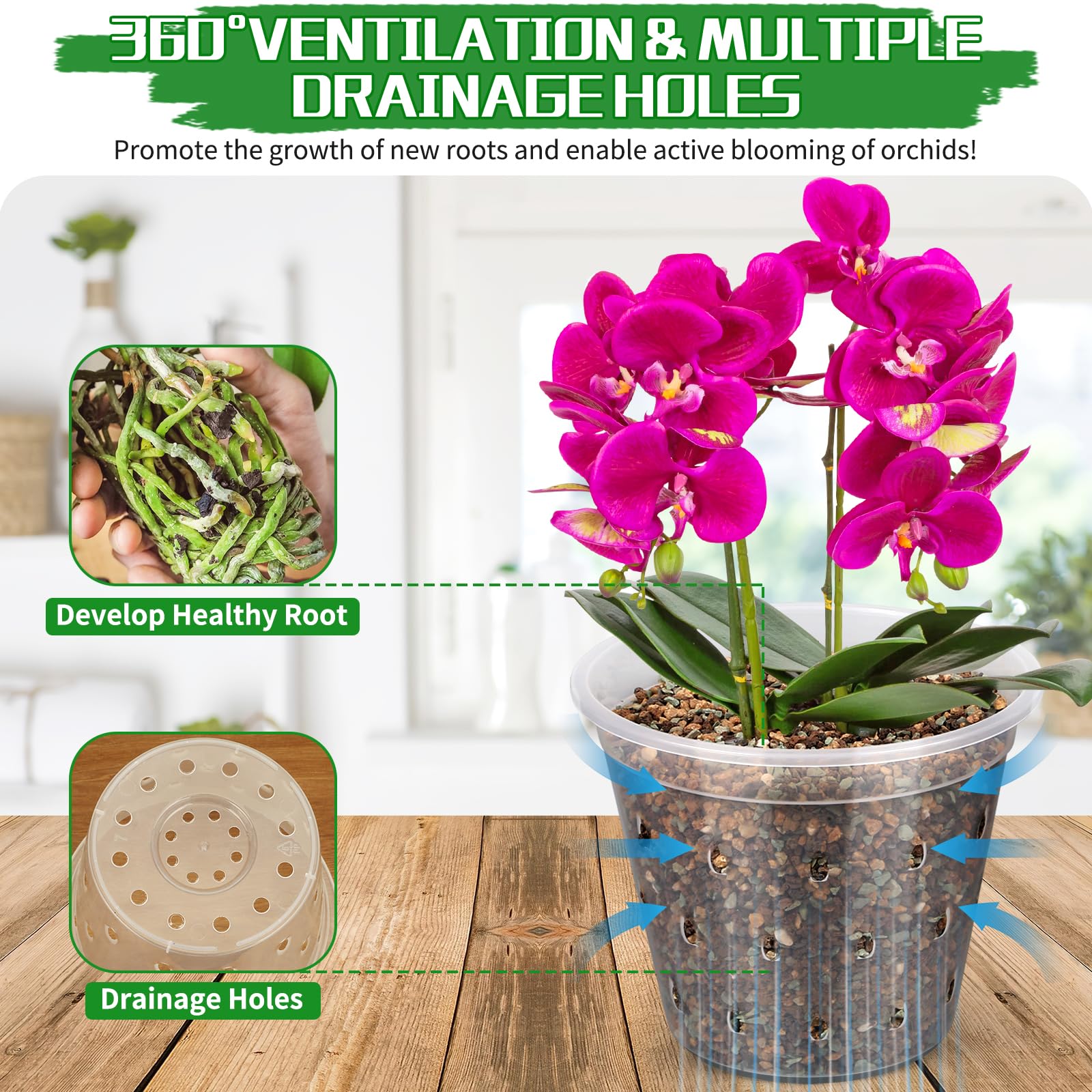 FUIJOL orchid pot with drainage holes enhances airflow and root health