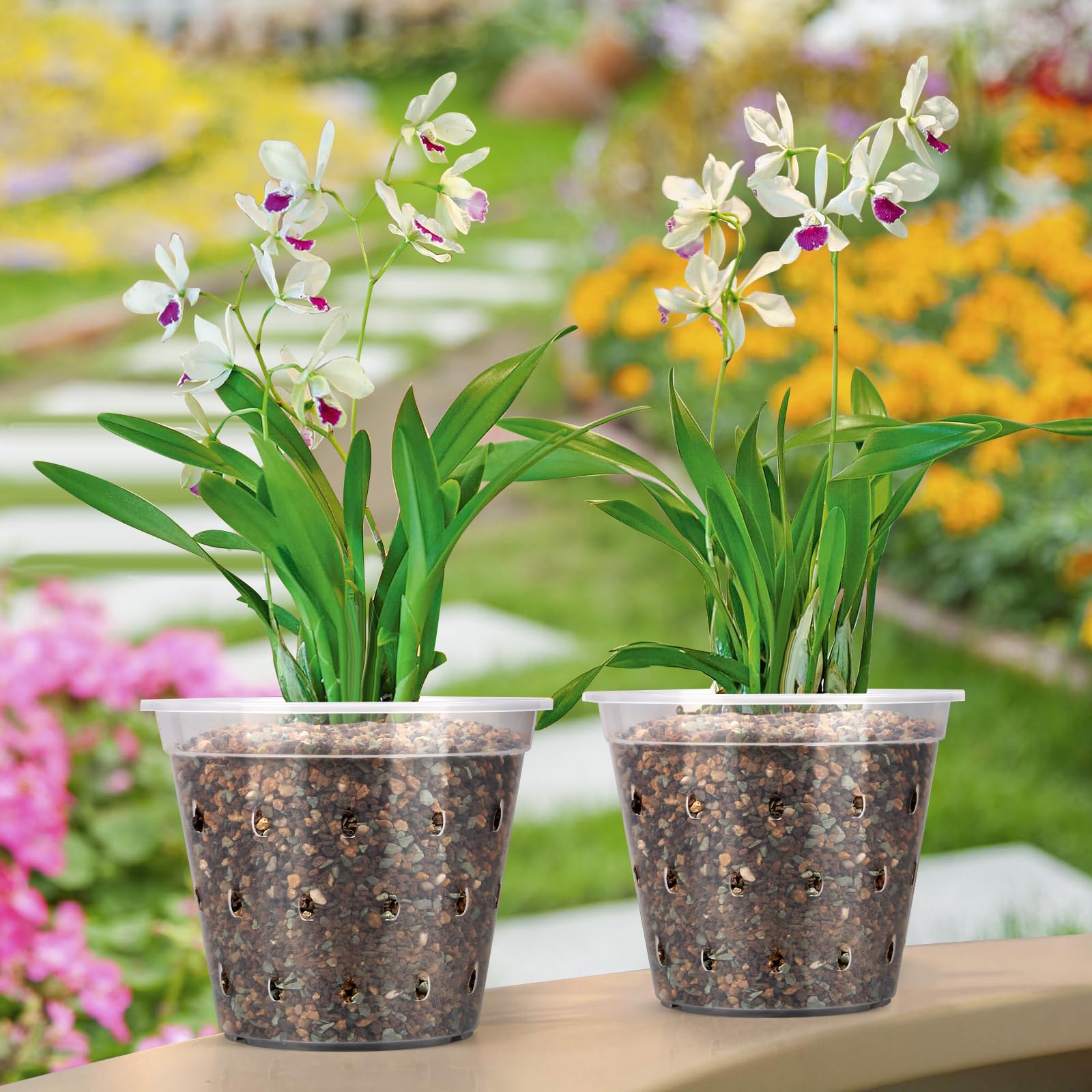 FUIJOL slotted design orchid pot promoting root ventilation
