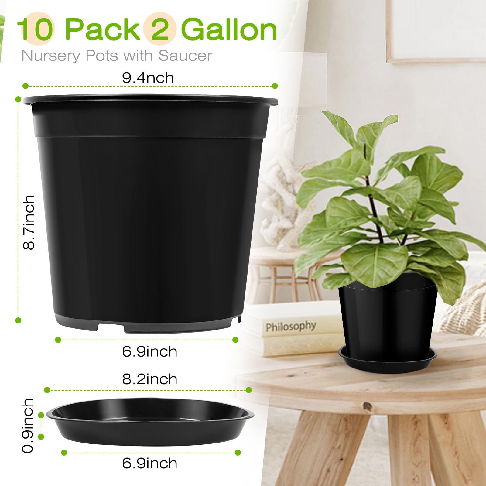 FUIJOL sturdy, lightweight pot is easy to move and rearrange plants.