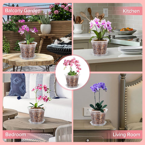 FUIJOL sturdy plastic construction supports thriving orchids indoors or outdoors