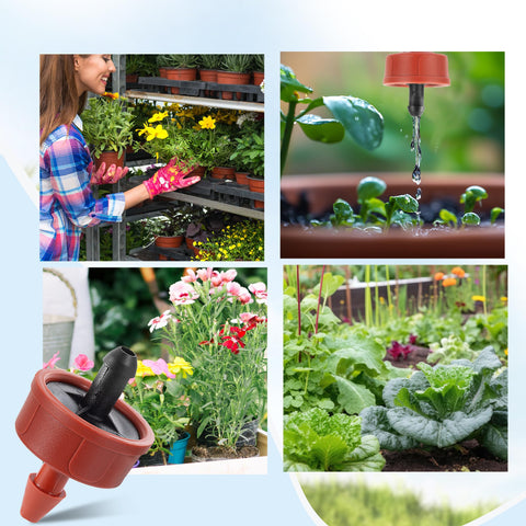 FULAIERGD garden beds and greenhouses with consistent irrigation