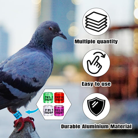 FULAIERGD easy disassembly design enables reuse and storage.