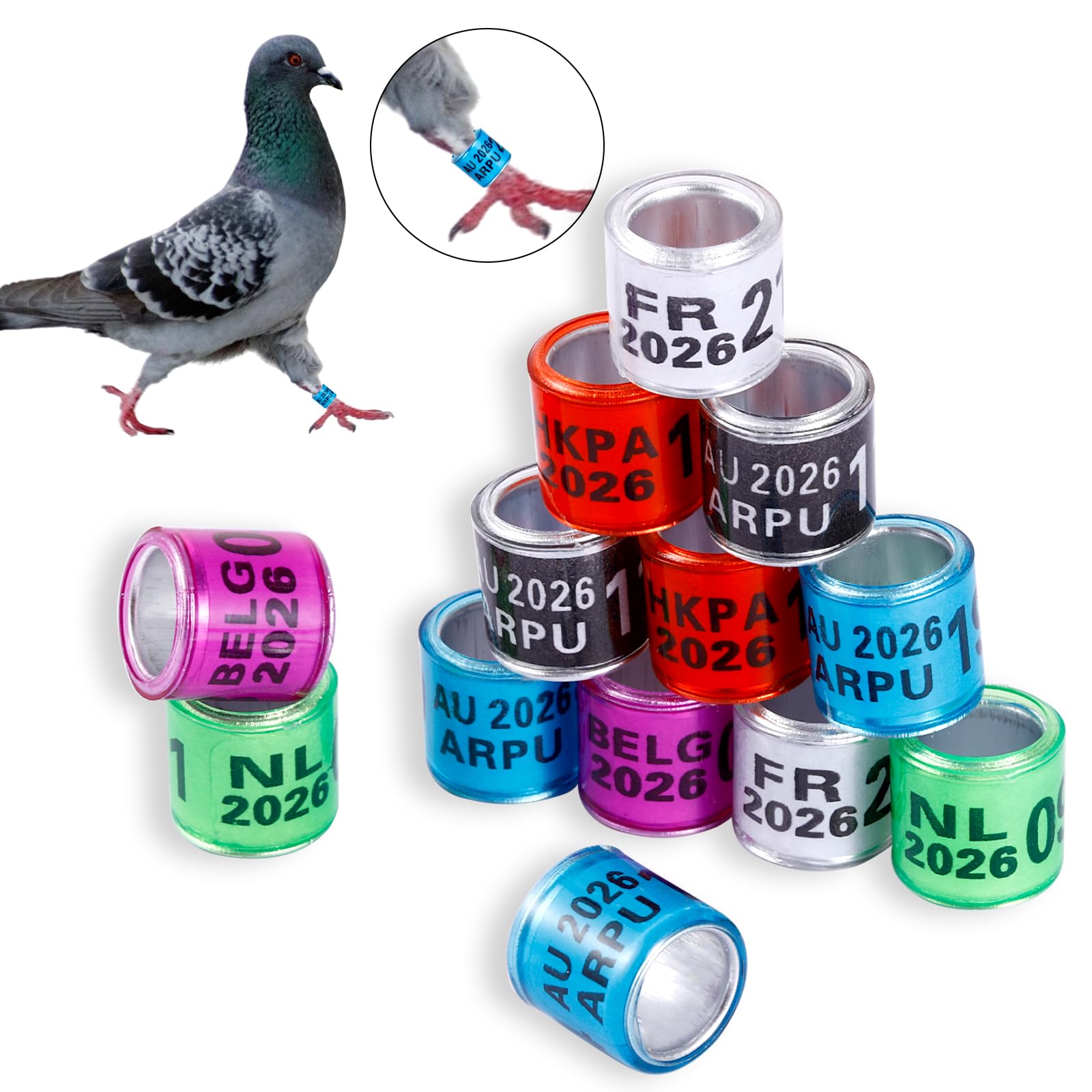 FULAIERGD white pigeon leg ring for clear visibility and organization.