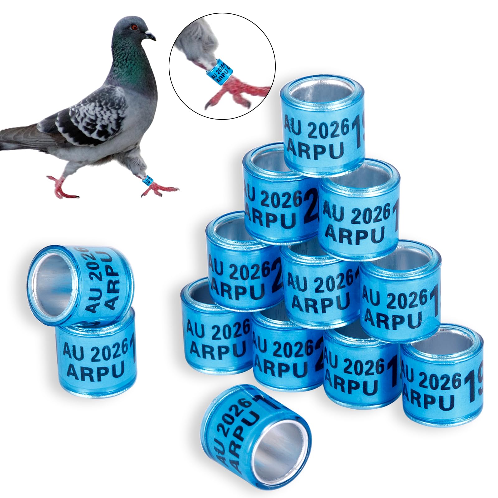 FULAIERGD plastic exterior blue leg rings highlight durability and reuse.