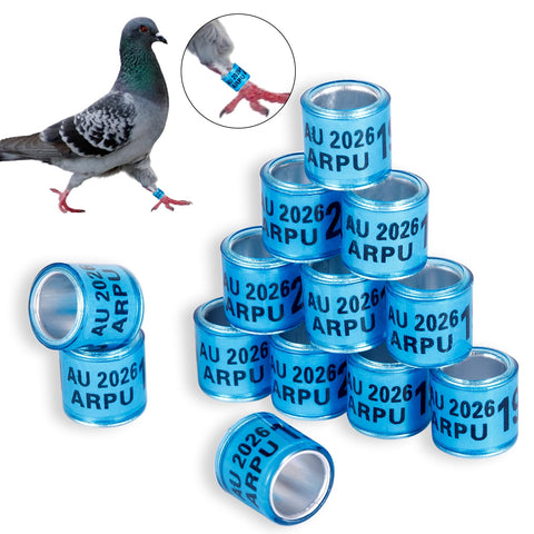 FULAIERGD plastic exterior blue leg rings highlight durability and reuse.