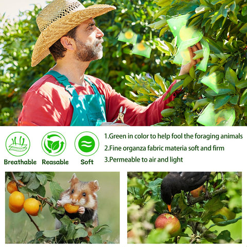 fulasiteu breathable bags allow sunlight and air for healthy fruit development