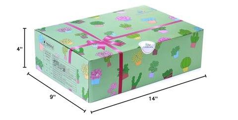 Fulloog gift-ready ceramic planter set ships securely