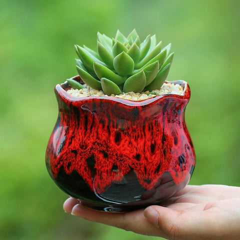 Fulloog terracotta planter offers sturdy, lightweight appeal