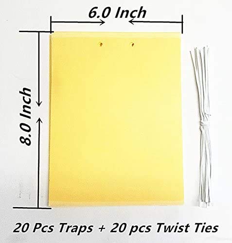 FULLSEXY closeup of UV-resistant adhesive on yellow traps
