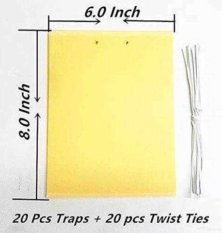 FULLSEXY closeup of UV-resistant adhesive on yellow traps