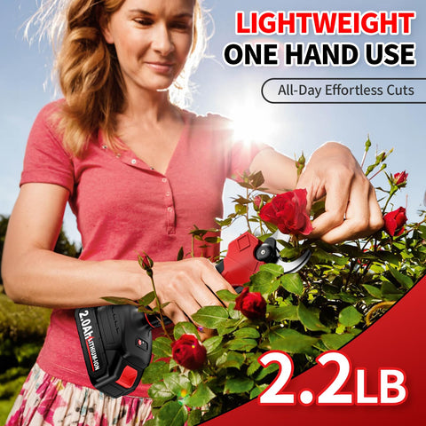 Fullyea kit includes two 21V 2.0Ah batteries to extend pruning sessions.