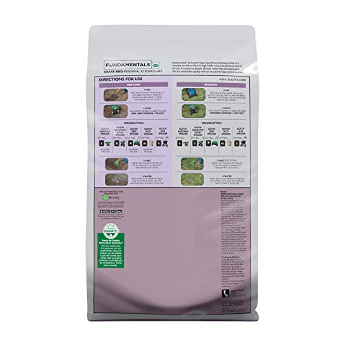 Fundamentals seed application prepared for quick establishment in sun-exposed yards.