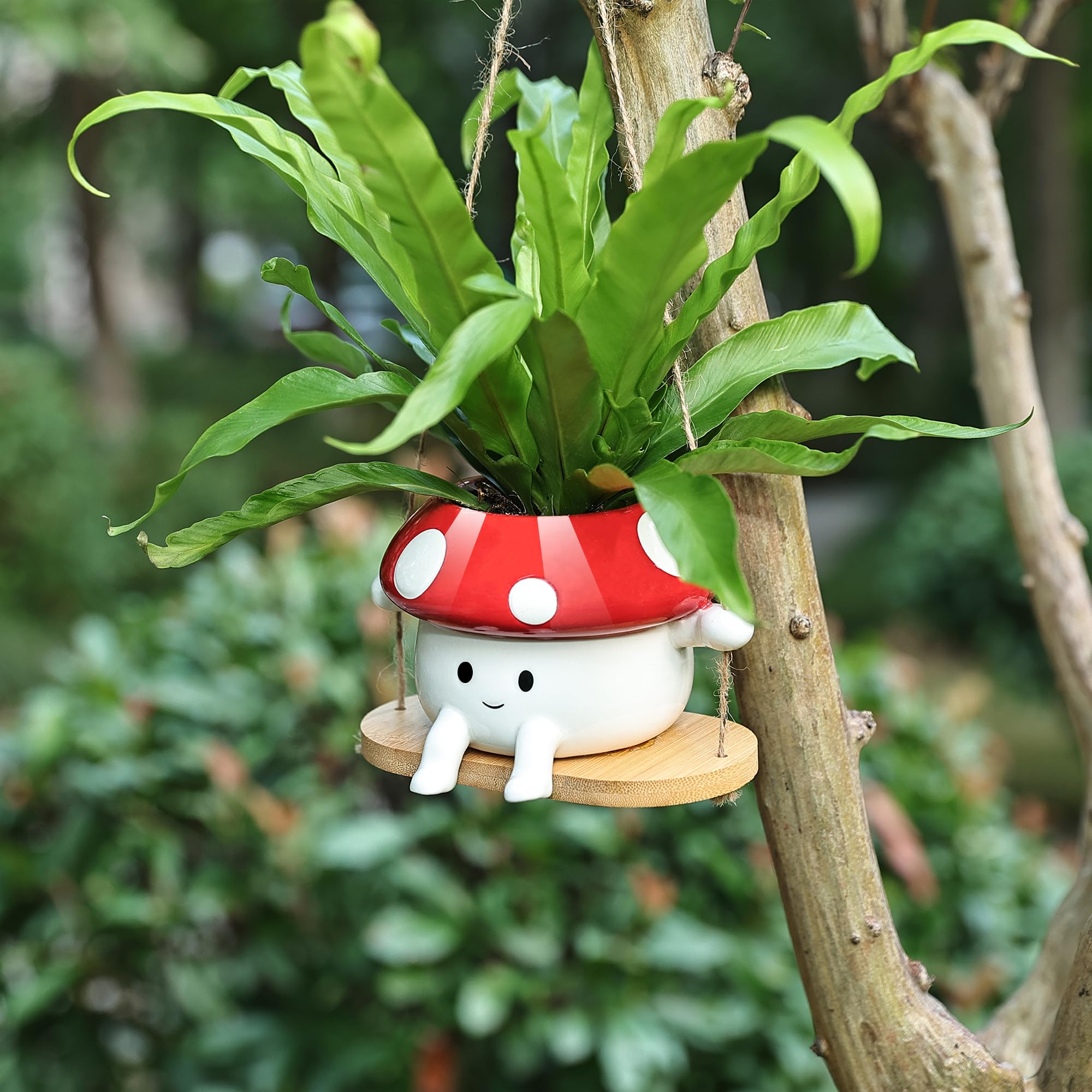 Indoor display of Fungi Fun hanging planter, ideal for small spaces.