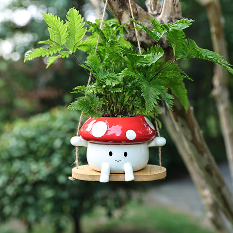 Fungi Fun with succulents for stylish, space-saving display.