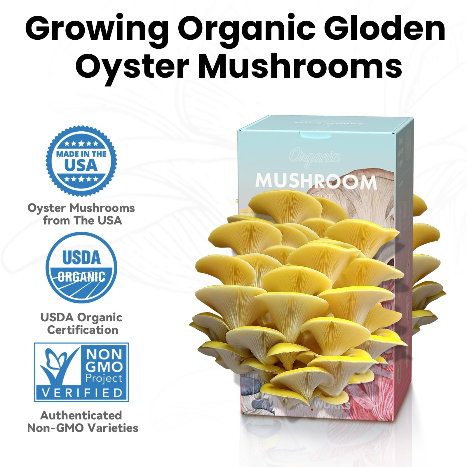 Fungiworks Golden Oyster Kit side view showing dual openings for higher yield